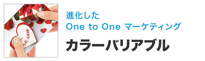 進化した One to One マーケティング Color Variable